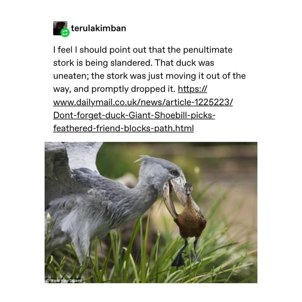 Thumbnail of p-bzvgqa6aplj-f00f04be50574753 3