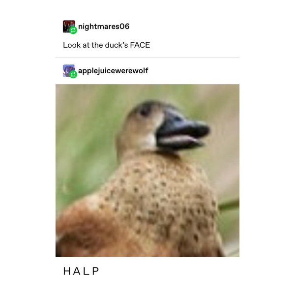 Thumbnail of p-bzvgqa6aplj-f00f04be50574753 5