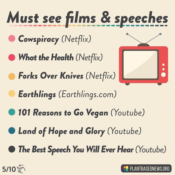 Thumbnail of bs3hohyhj-z-f017324e8dd64162 4