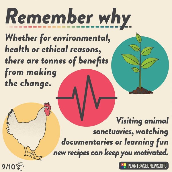 Thumbnail of bs3hohyhj-z-f017324e8dd64162 8