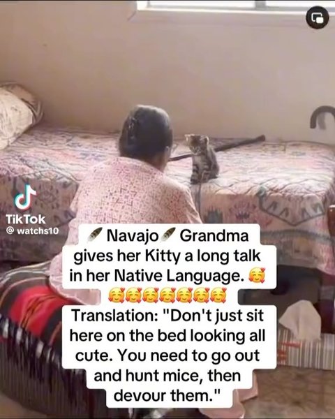 Thumbnail of p-dbm8qajy92x-f05f08b82ee44e46 4