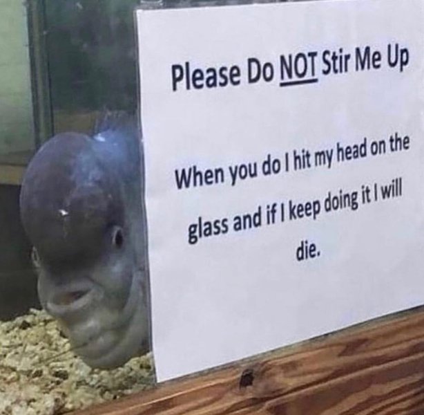 Thumbnail of p-b3do9thfjs1-f0699cec4dad4874 0