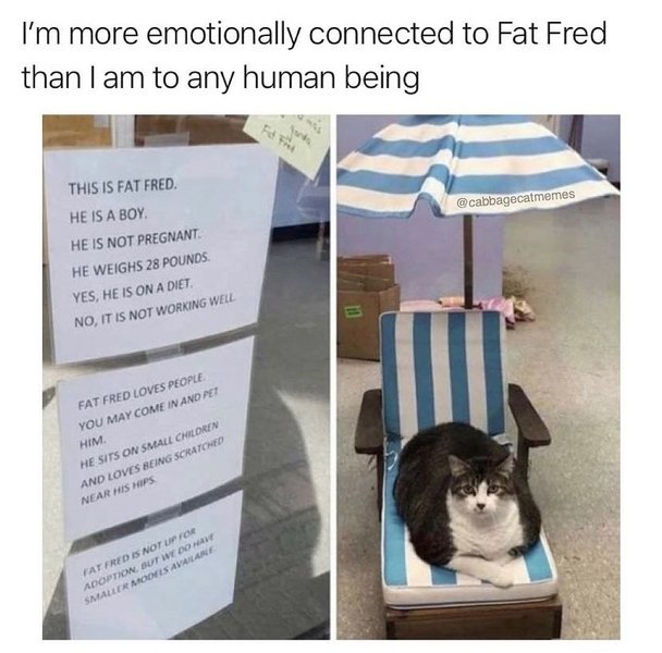 Thumbnail of p-cui0dumpqpd-f0a39794b5424d0c 0