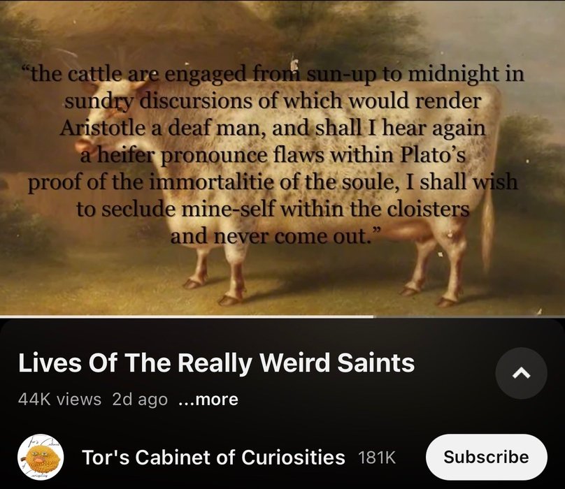 Thumbnail of www-x-com-faeslily-status-1980275979009327204-f0ae37ae0f874f27