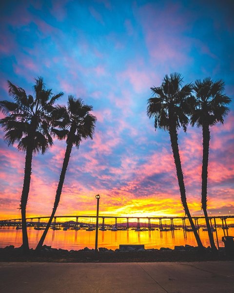 Thumbnail of p-bqkqthvhec2-f0b1806039b549eb 0