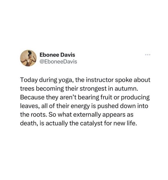 Thumbnail of p-czmfa9vyiwx-f0bff3e6b5954c54 2