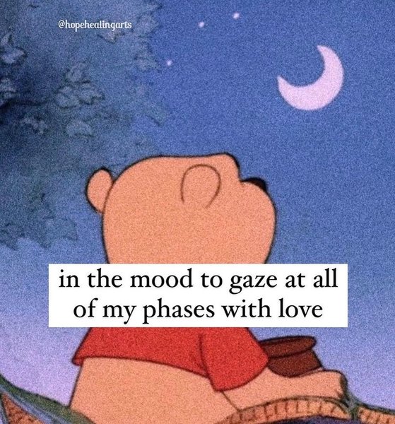 Thumbnail of p-czmfa9vyiwx-f0bff3e6b5954c54 5