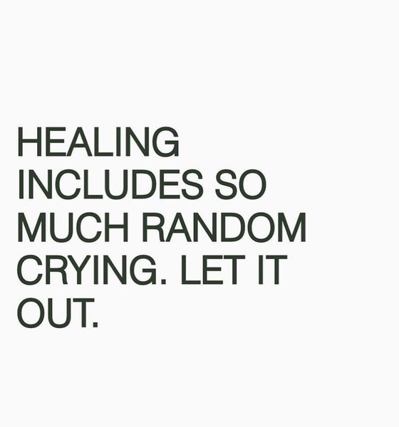 Thumbnail of p-czmfa9vyiwx-f0bff3e6b5954c54 6