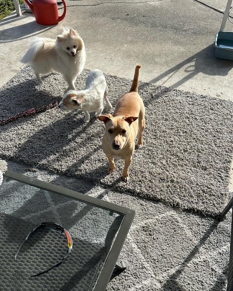 Thumbnail of p-cpdr8pyvazq-f0cb34656dbf47c4 3