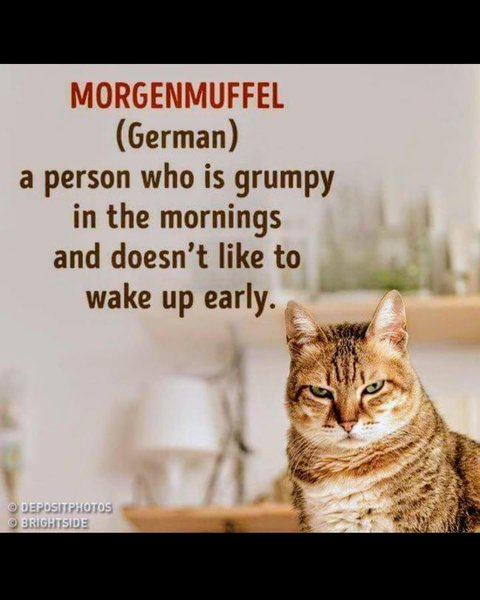 Thumbnail of p-c9nwv2xv5az-f0d51ec96a0a4e23 0