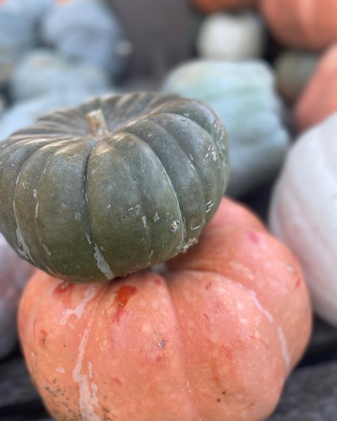 Thumbnail of p-cjoet56jhy4-f100f70dfdef4c14 3