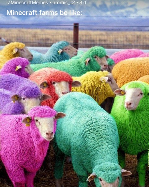 Thumbnail of b8oxqh-l6kn-f1122811ef1143b9 1