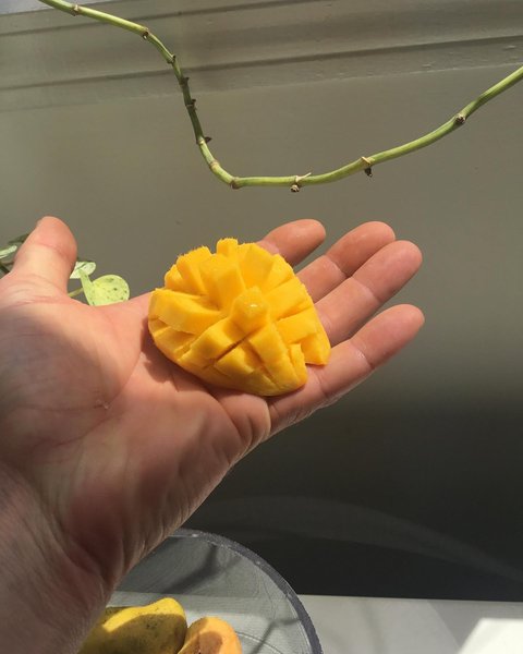 Thumbnail of p-cbwgx90hg7g-f16ba59e787c4d00 1