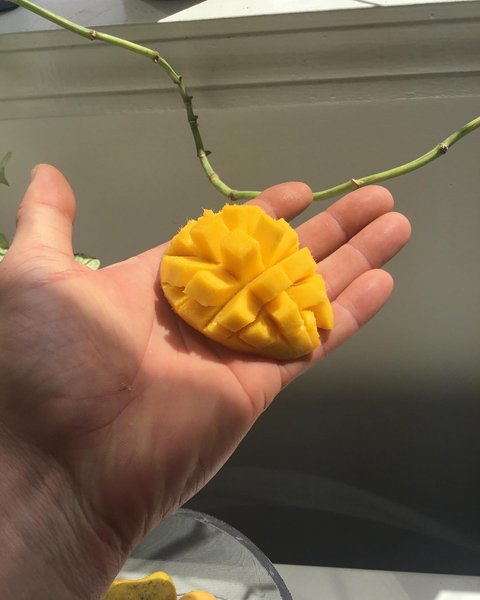 Thumbnail of p-cbwgx90hg7g-f16ba59e787c4d00 2