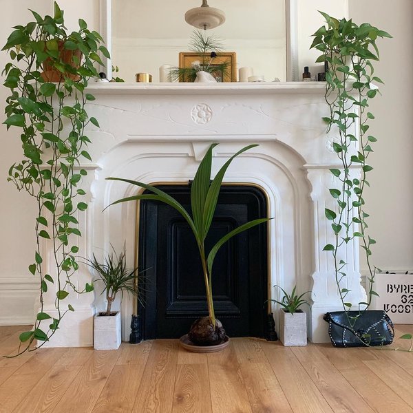 Thumbnail of p-bslufufhsfi-f1b2a80ca226449e 0