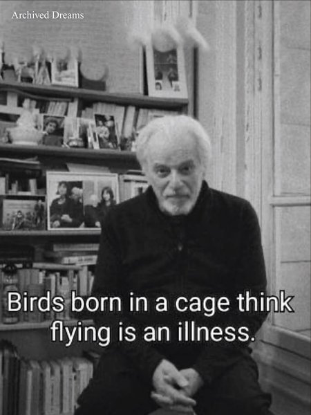 Thumbnail of www-instagram-com-p-dqiyezzgtij-img-index-2 0