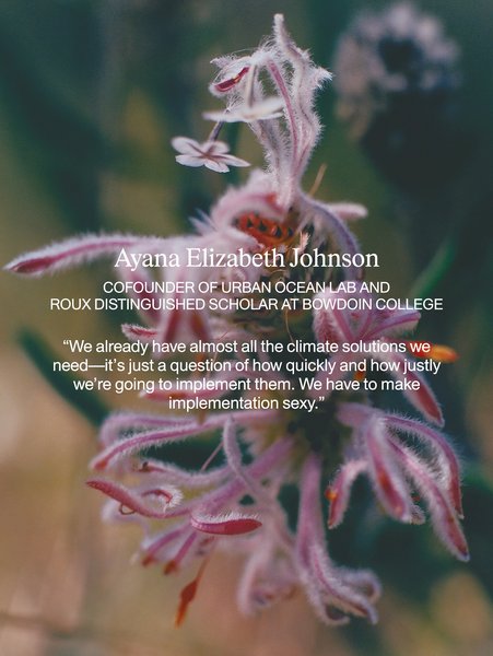 Thumbnail of p-drqahzoeflx-f1de7fcd11e949b2 12