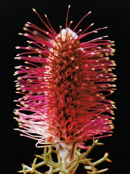 Thumbnail of p-drqahzoeflx-f1de7fcd11e949b2 2