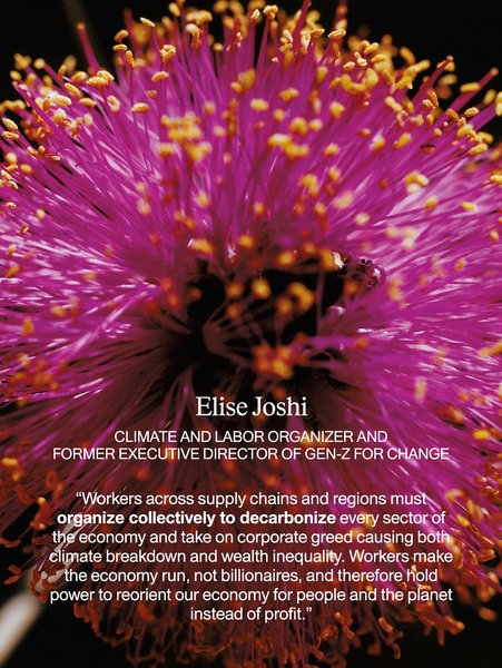 Thumbnail of p-drqahzoeflx-f1de7fcd11e949b2 3