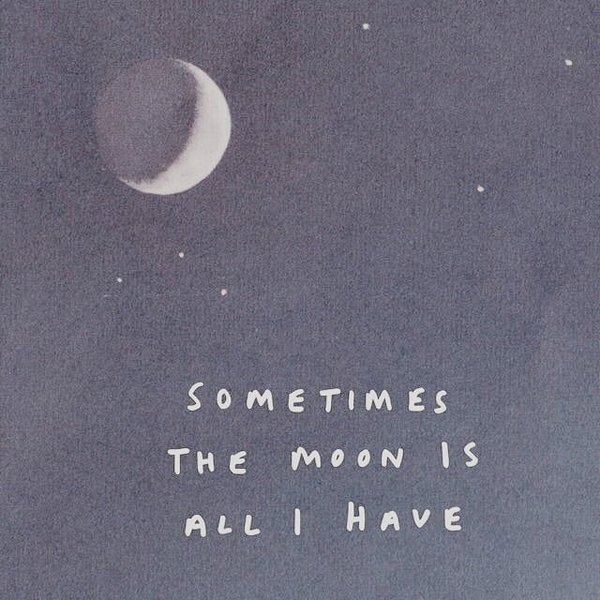 Thumbnail of p-by5bndkiiu0-f1f1b69f4aa54b1a 5