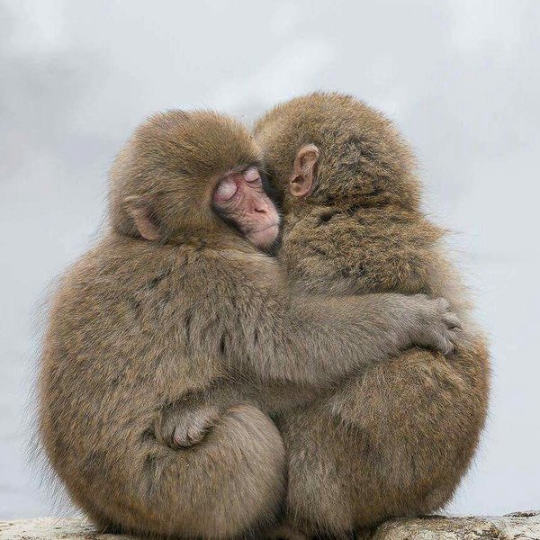 Thumbnail of p-dppicruadyg-f22702ccd1c44f89 1