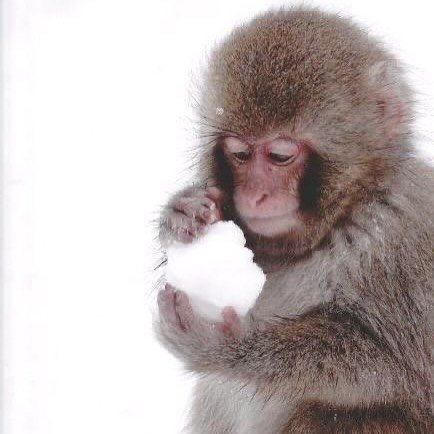 Thumbnail of p-dppicruadyg-f22702ccd1c44f89 5