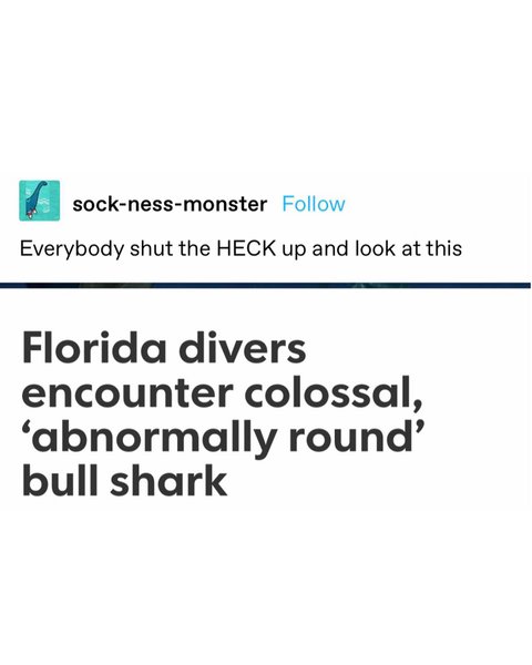 Thumbnail of ccv-drwpskx-f22725bafaa646cf 0