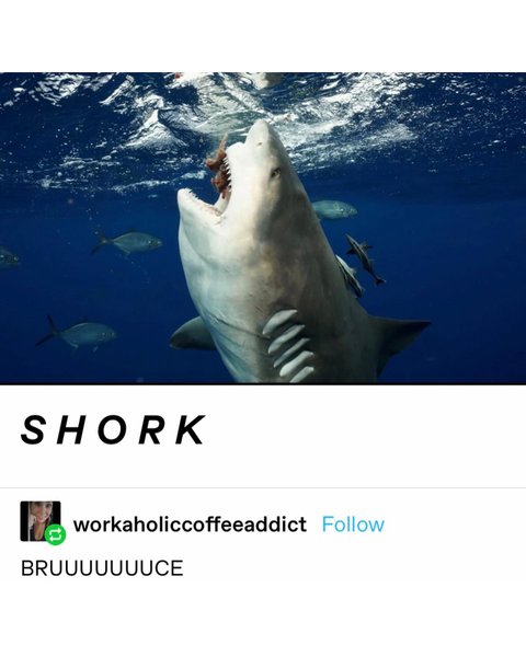 Thumbnail of ccv-drwpskx-f22725bafaa646cf 2