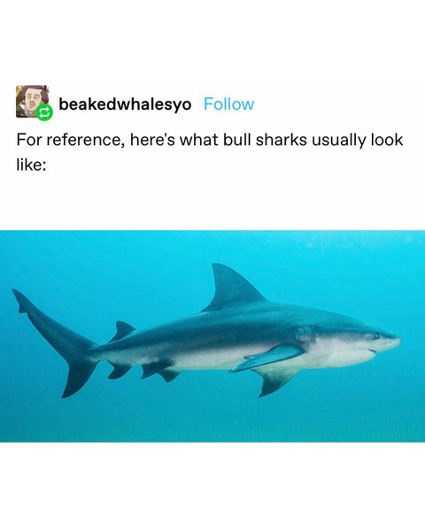 Thumbnail of ccv-drwpskx-f22725bafaa646cf 4