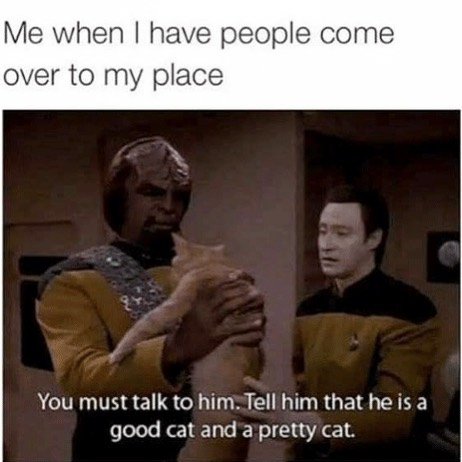 Thumbnail of p-bzd7zwdgxql-f235a1332e964879 0