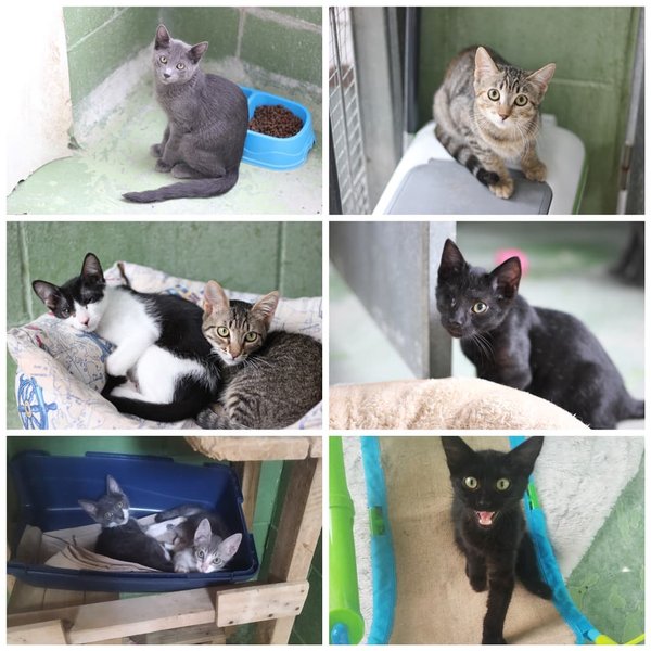 Thumbnail of p-csfn5uhiwll-f2407f5766754c9c 0