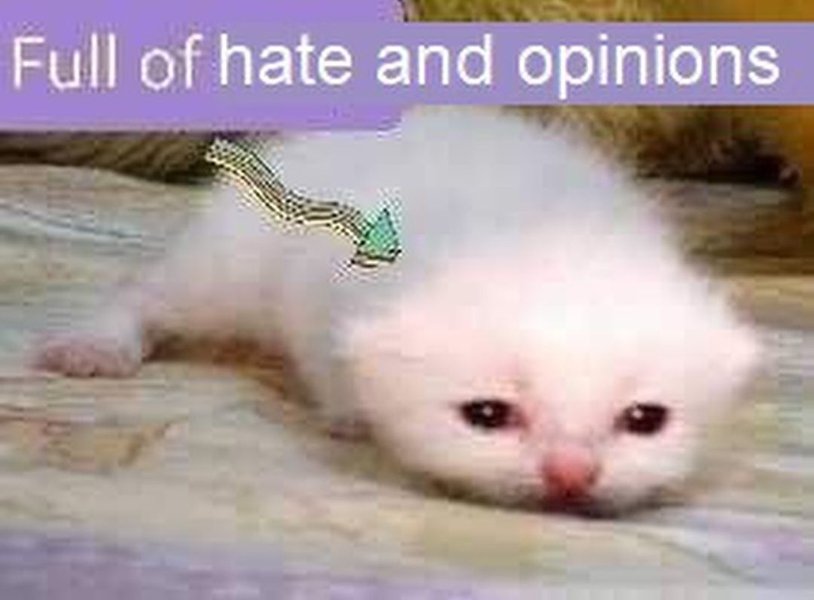 Thumbnail of c-wm7h7uetl-f26764f207d644e4 0