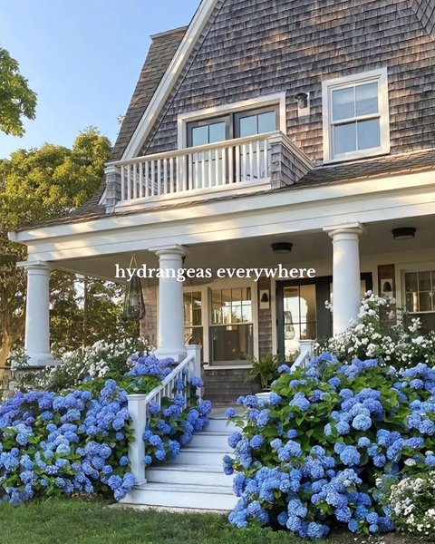 Thumbnail of p-dg59afirg6j-f2c3d5fb7f9b4266 1