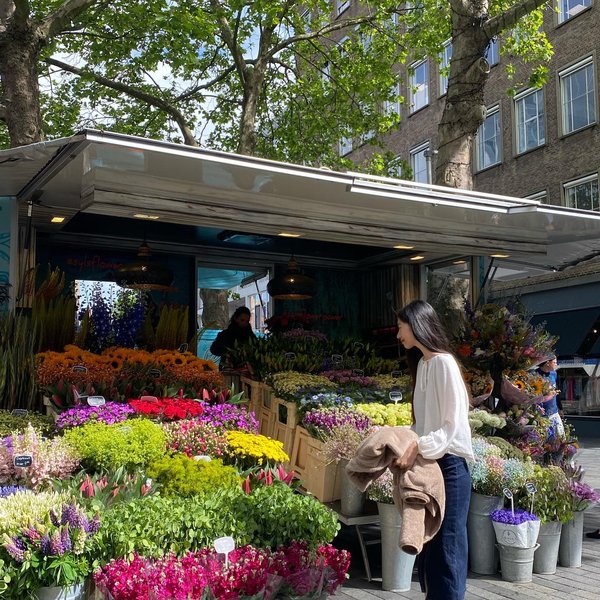 Thumbnail of ceh-i0yqp0f-f2cd4f2c6c014e6a 1