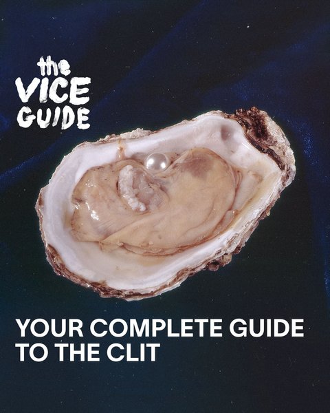 Thumbnail of p-cpdyfg0nc0h-f2d74927d0ff45e0 0