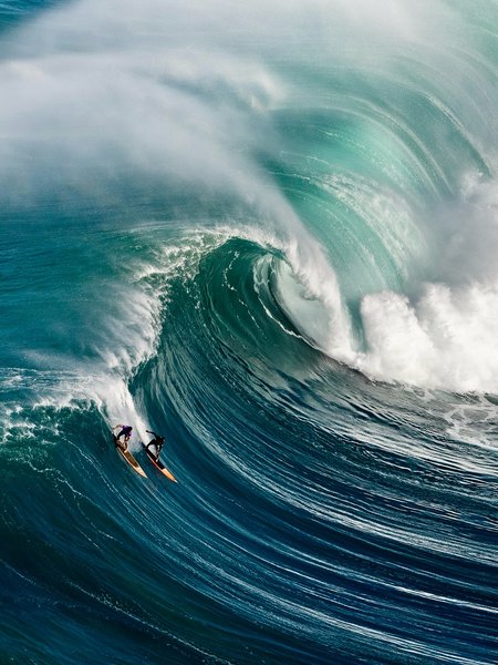 Thumbnail of p-dnexibutinn-f3119a52abb34cde 10