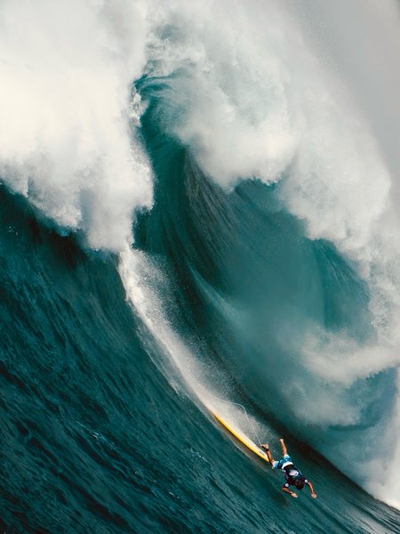 Thumbnail of p-dnexibutinn-f3119a52abb34cde 14