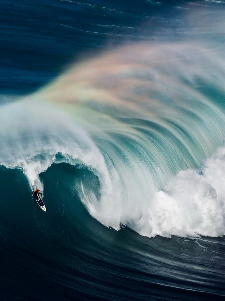 Thumbnail of p-dnexibutinn-f3119a52abb34cde 17