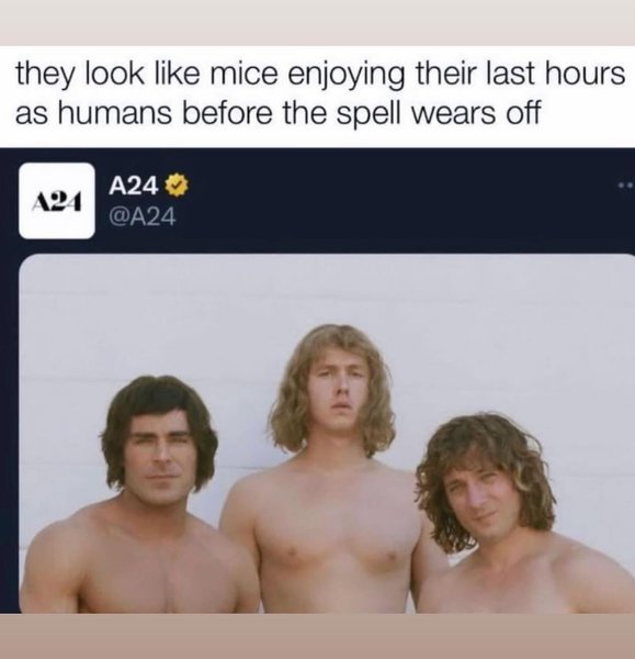 Thumbnail of p-c2r33irpwjj-f32f1c68d4704d88 2