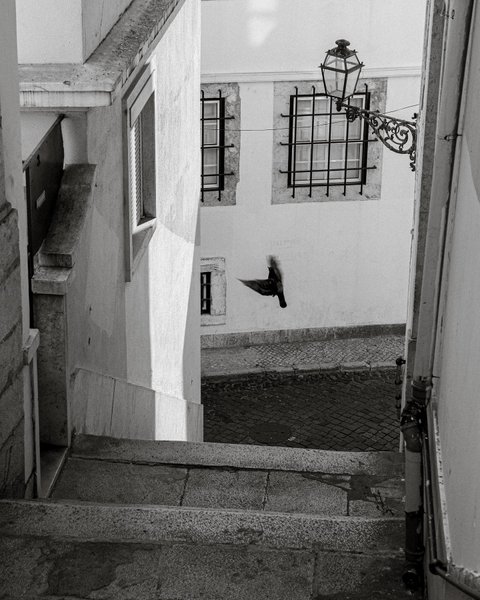 Thumbnail of cih8-tgufvi-f3313d8cd55a4b6e 3