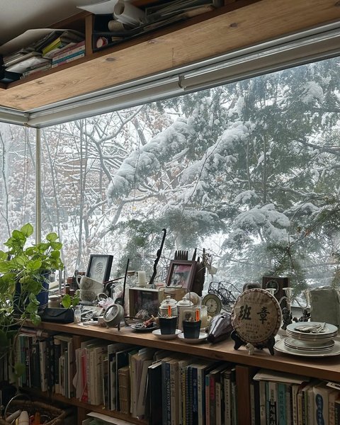 Thumbnail of p-deizhygoab7-f36a0694469f4246 1