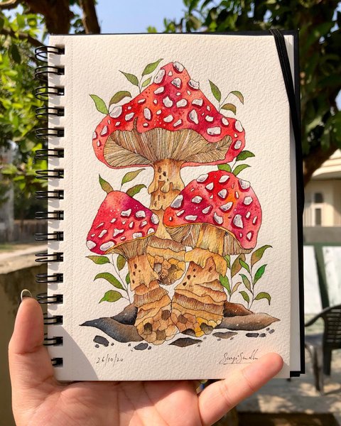 Thumbnail of p-cgzm4nfnlmh-f38ae6b0363046d5 0