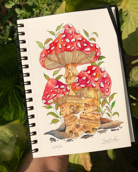 Thumbnail of p-cgzm4nfnlmh-f38ae6b0363046d5 1