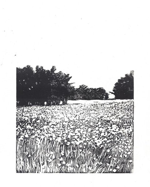 Thumbnail of p-chkexpolfkb-f3c0d3442ea9439f 6