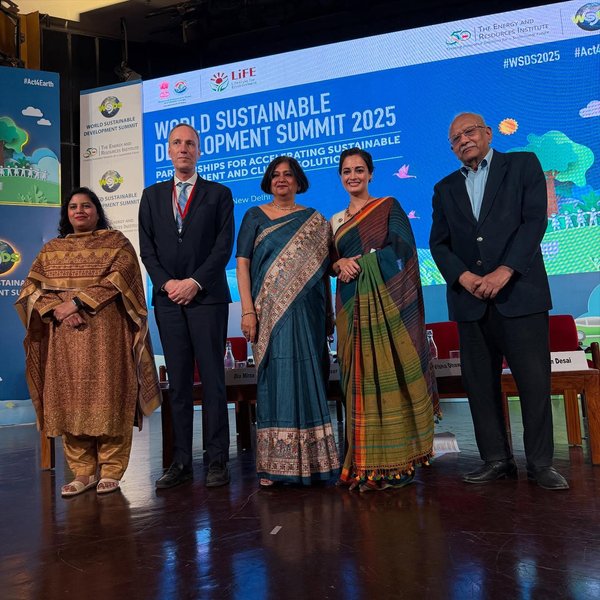 Thumbnail of p-dhwhk64ibre-f3c2b6c4260e48e2 1