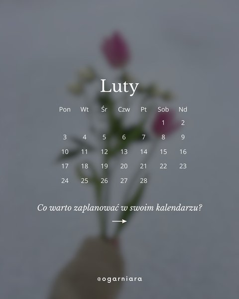 Thumbnail of dfho-gtsr1r-f3ec1db5c1d8486c 1