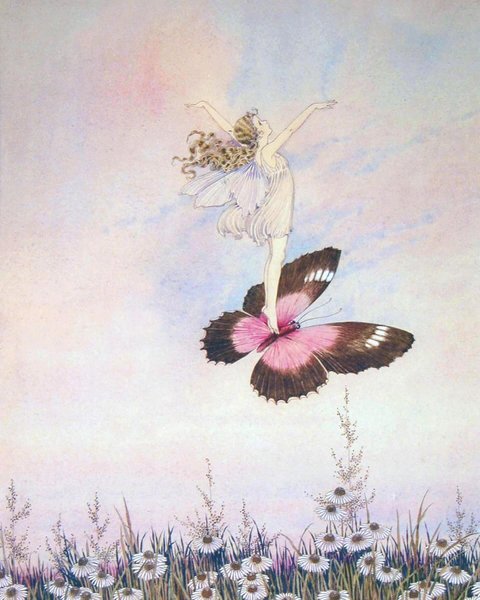 Thumbnail of p-c3qnffwlutr-f3f4a0d462d24765 1