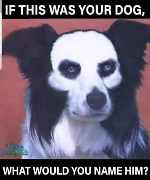 Thumbnail of cl4mn-may8t-f4054c450bdf4229 0