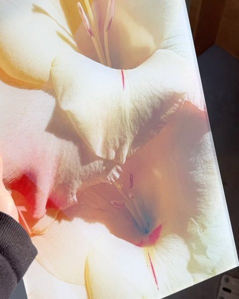 Thumbnail of c0r1-nwozc-f41250d1343c4f68 2