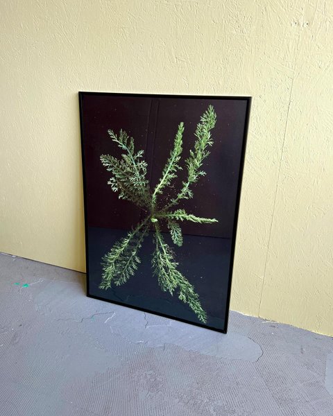 Thumbnail of c0r1-nwozc-f41250d1343c4f68 3